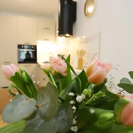 Panorama Bialy Kamien 公寓 *