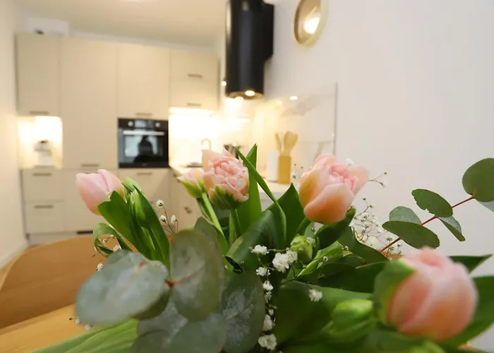 Panorama Bialy Kamien 公寓 *