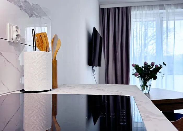 公寓 Panorama Bialy Kamien 瓦乌布日赫